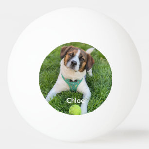 Pelota De Ping Pong Añadir tu foto de perro fotográfico niños foto fam
