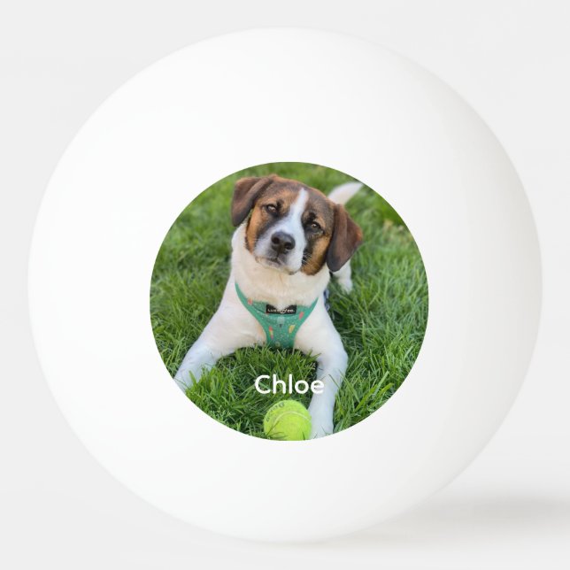 Pelota De Ping Pong Añadir tu foto de perro fotográfico niños foto fam (Anverso)