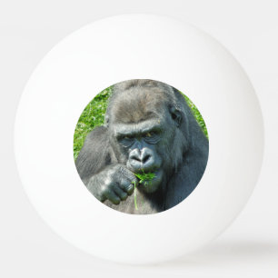 PELOTA DE PING PONG ANIMALES SALVAJES - GORILLAS