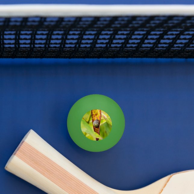 Pelota De Ping Pong apego (Mesa)