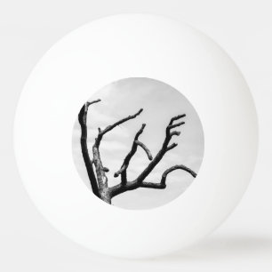 Pelota De Ping Pong árbol libre
