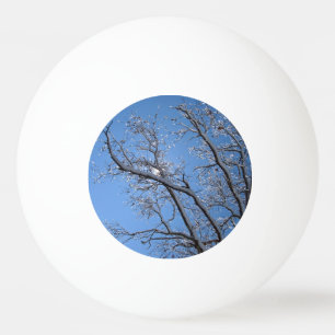 Pelota De Ping Pong Árboles nevados del hielo que brillan
