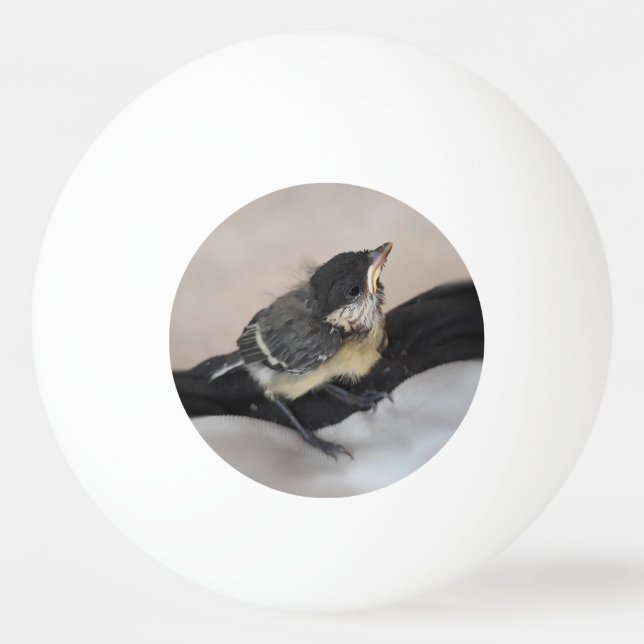 Pelota De Ping Pong Arregla mi pájaro el Parus Major (Anverso)