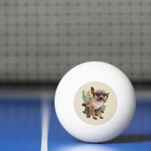 Pelota De Ping Pong Arte de vida silvestre de suricata lindo con aloe