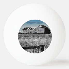 Pelota De Ping Pong Australia Rural Relic Ping Pong Ball