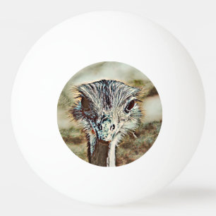 Pelota De Ping Pong avestruz de toony