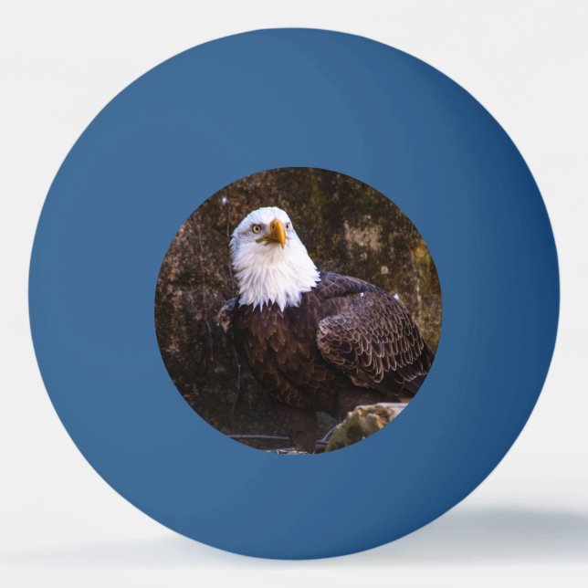 Pelota De Ping Pong Bald Eagle (Anverso)