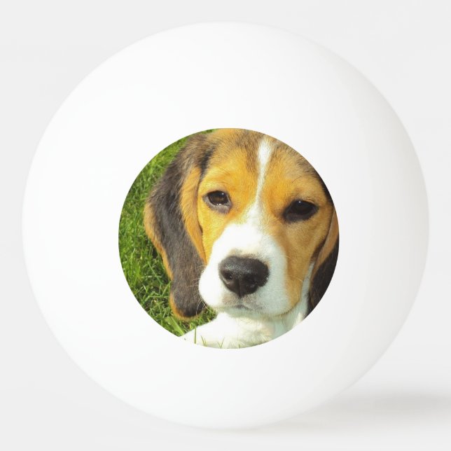 Pelota De Ping Pong Beagle lindo (Anverso)