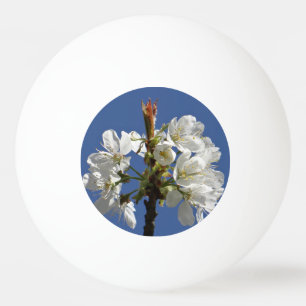 Pelota De Ping Pong Bloom de Primavera Blanca
