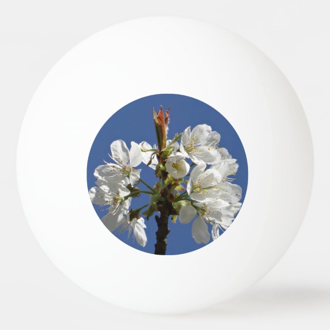 Pelota De Ping Pong Bloom de Primavera Blanca (Anverso)