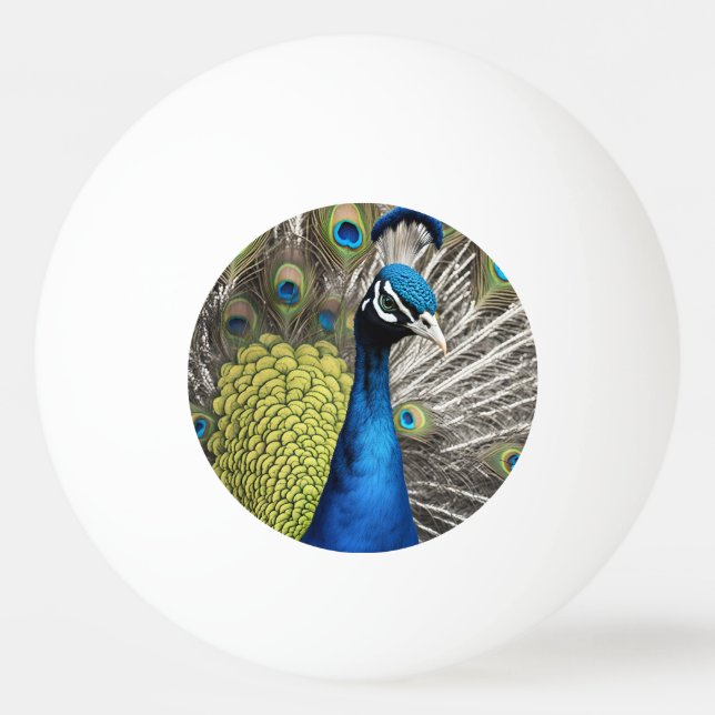 Pelota De Ping Pong Bonito Peacock (Anverso)