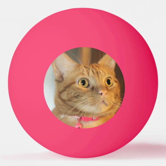 Pelota De Ping Pong Bonito Penny (Anverso)