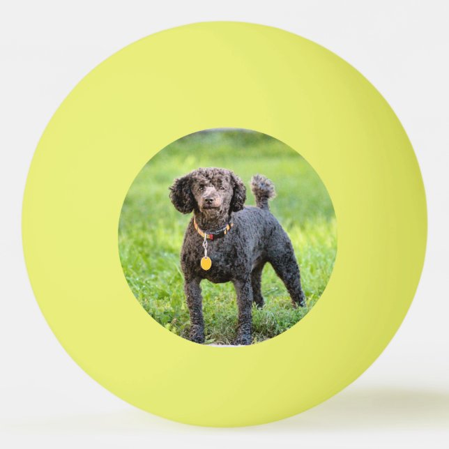 Pelota De Ping Pong Bonjour (Anverso)