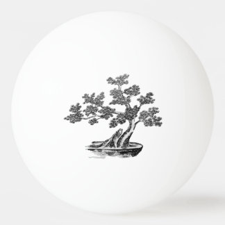 Pelota De Ping Pong Bonsai - Estilo chino - blanco y negro