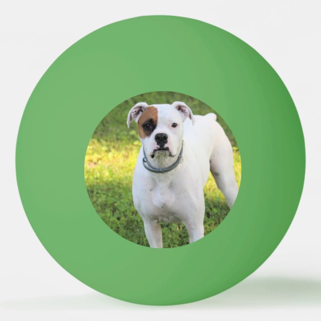 Pelota De Ping Pong Boxeador (Anverso)