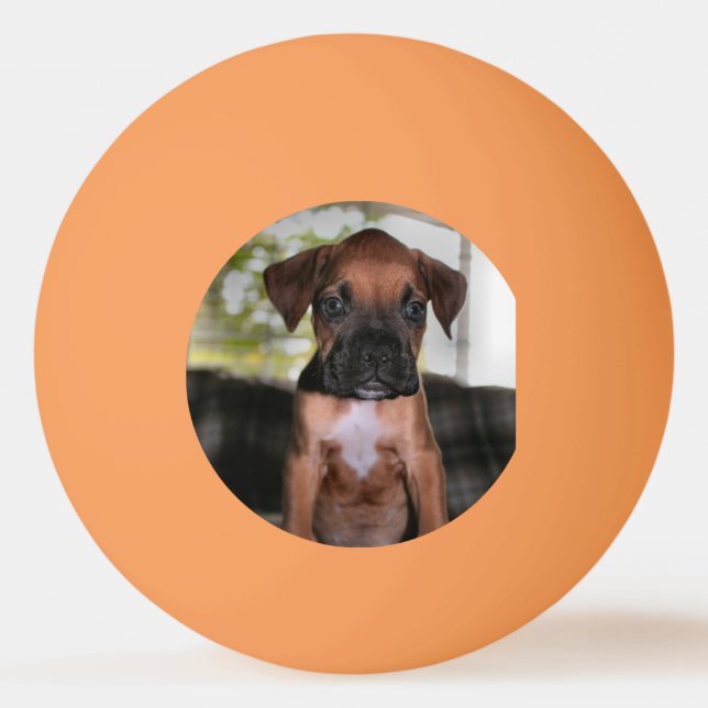 Pelota De Ping Pong Boxer Bqby (Anverso)