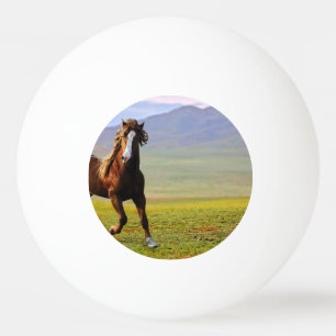Pelota De Ping Pong Caballo