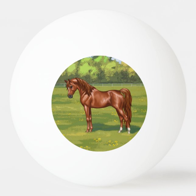Pelota De Ping Pong Caballo árabe-egipcio castaño en pastura de primav (Anverso)