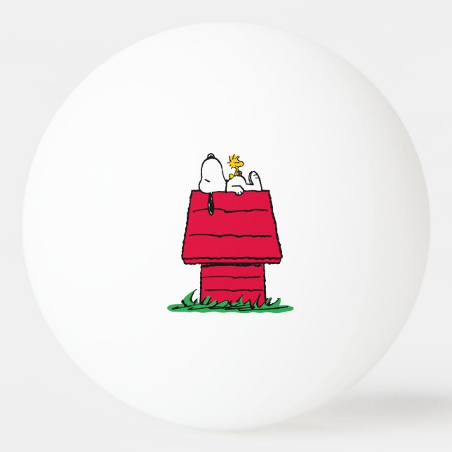 Pelota De Ping Pong Cacahuetes | Snoopy & Woodstock Doghouse (Anverso)