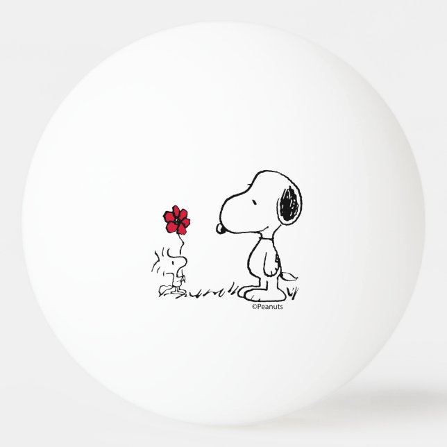 Pelota De Ping Pong Cacahuetes | Snoopy & Woodstock Rojo y Negro (Anverso)