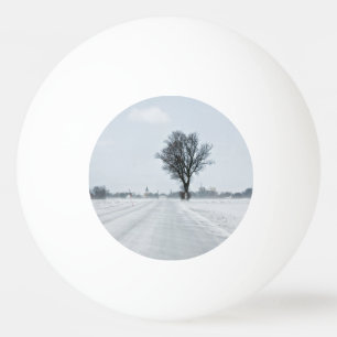 Pelota De Ping Pong Camino de invierno rural