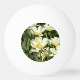 Pelota De Ping Pong Campo de tulipanes blancos Foto