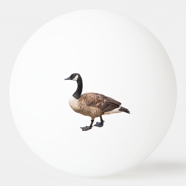 Pelota De Ping Pong Canada Goose (Anverso)