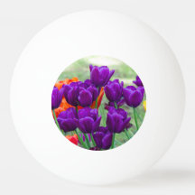 Cañón de tulipanes morado oscuro