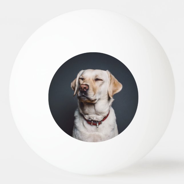 Pelota De Ping Pong Cargar tu foto (Anverso)