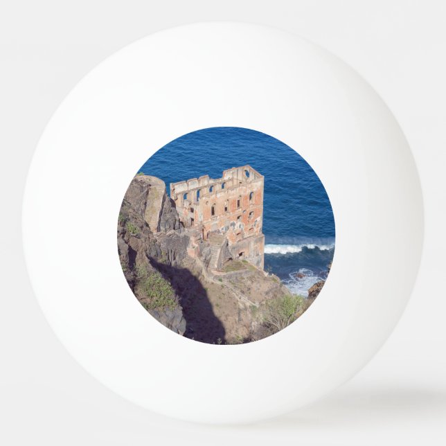 Pelota De Ping Pong Casa Hamilton (Reverso)