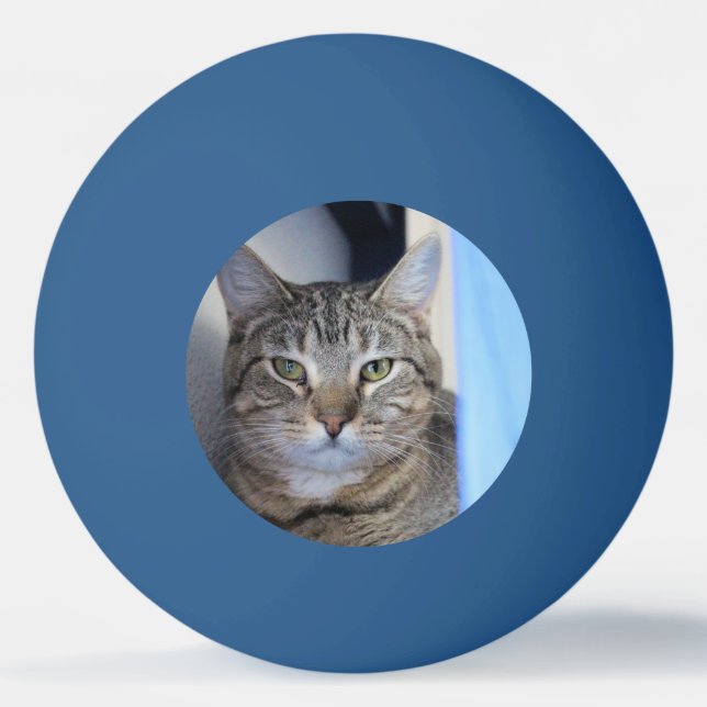 Pelota De Ping Pong Cat Ping Pong Ball (Anverso)