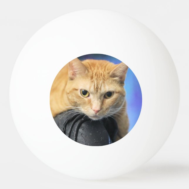 Pelota De Ping Pong Catural (Anverso)