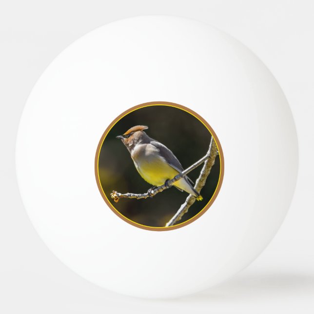 Pelota De Ping Pong Cedar Waxwing Songbird Foto original de ave silves (Anverso)