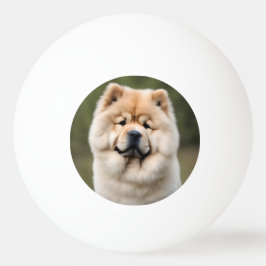 Pelota De Ping Pong Chow Chow