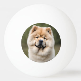 Pelota De Ping Pong Chow Chow