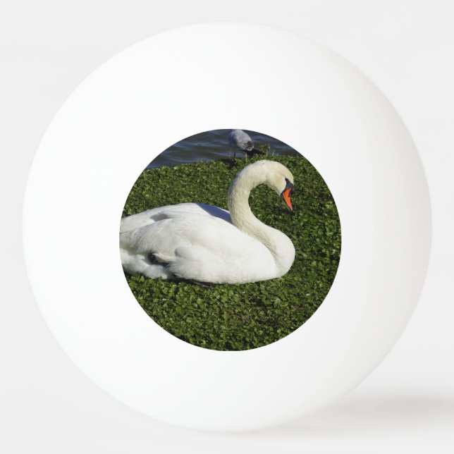 Pelota De Ping Pong Cisne blanco (Anverso)