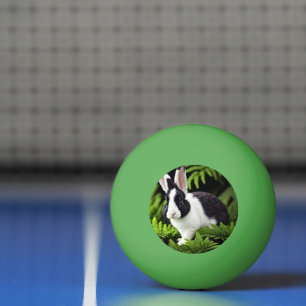 Pelota De Ping Pong "Clásico encanto: Conejo conejo conejo blanco y ne