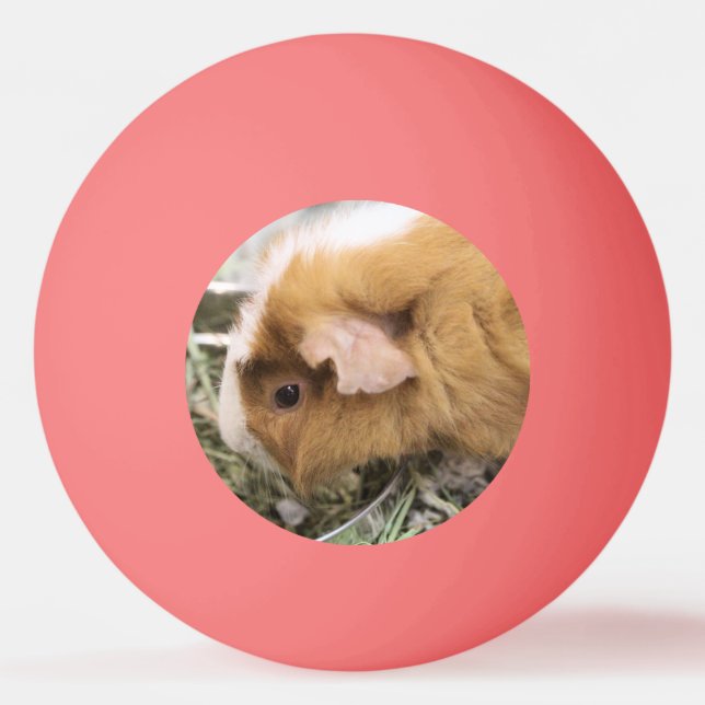 Pelota De Ping Pong Clip de Gorra de golf de cerdo (Anverso)