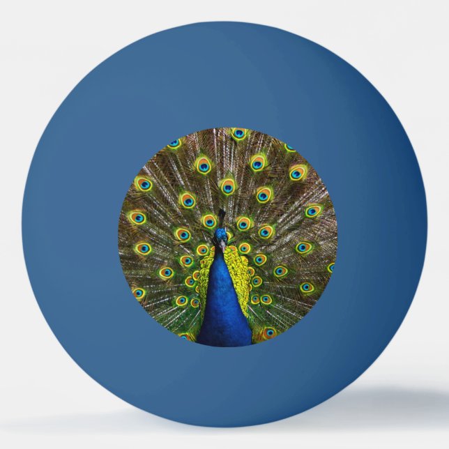 Pelota De Ping Pong Colorful peacock (Anverso)