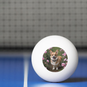 Pelota De Ping Pong Corgi en las rosas rosadas,
