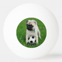 Crea tu propia foto de mascota con nombre personal
