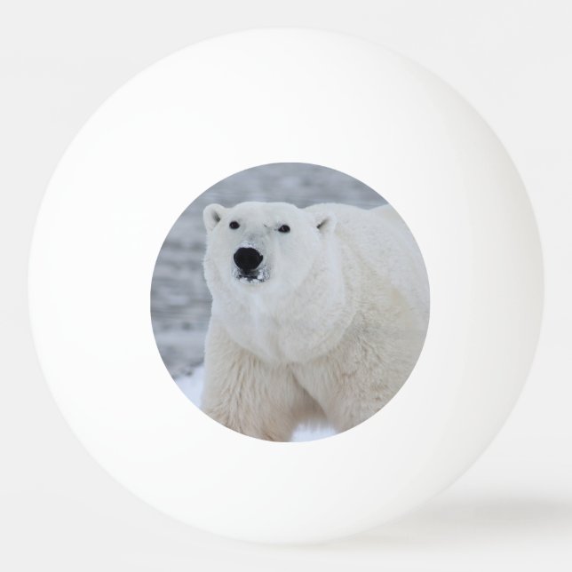 Pelota De Ping Pong Crea tu propia foto personalizada (Anverso)