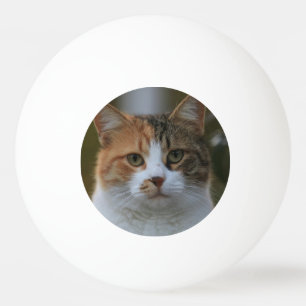 Pelota De Ping Pong Crea tu propia foto personalizada de tu gato como