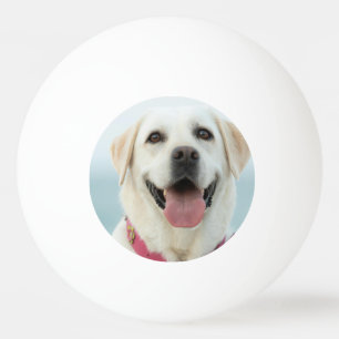 Pelota De Ping Pong Crea tu propia foto personalizada de tu mascota