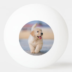 Pelota De Ping Pong Crea tu propia mascota personalizada