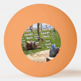 Pelota De Ping Pong 🤍 Crear su propia plantilla de Personalizado
