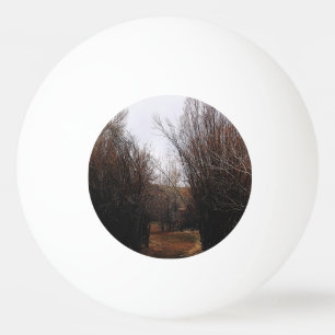 Pelota De Ping Pong Crecimiento excesivo de la Bannack