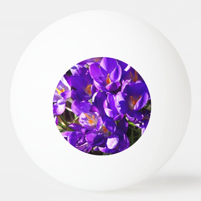 PELOTA DE PING PONG CROCUS DE PRIMAVERA (Anverso)