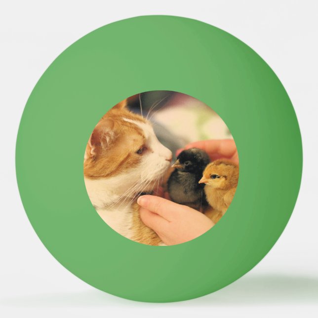 Pelota De Ping Pong Cuadros (Anverso)