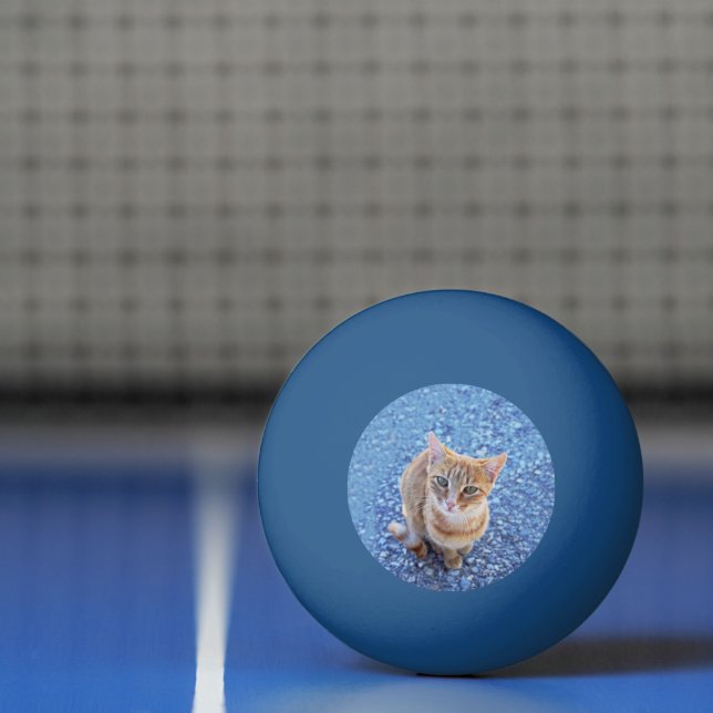 Pelota De Ping Pong Cuddle me! (Neto)